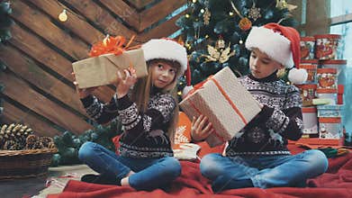 Little twins sitting under christmas tree, shaking and fiddling around with present boxes, finding out what is inside.
