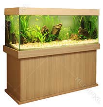 Home aquarium