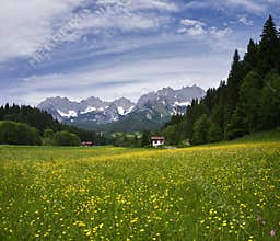 Summer in Tirol