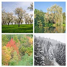 Four Seasons