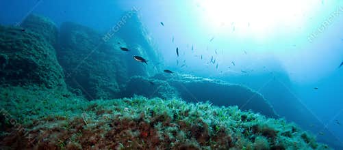 The underwater world