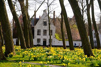 Springtime in Beguinage in Bruges