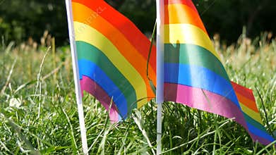Symbol of LGBT Gay lesbian transgender queer rights, activism love equality and freedom rainbow flags on the grass lawn