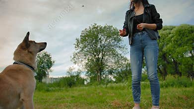 The dog catching food on the fly that the girl throws it.