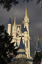 Magic castle