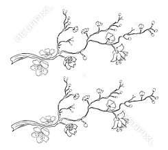 Branch of Sakura flower vector for tattoo style on isolated white background.Peach blossom illustration for coloring book.Beautifu