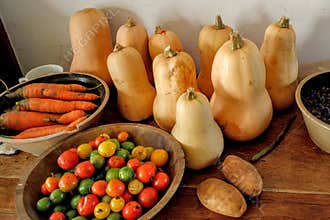 Fresh Garden Produce, Squash, Carrots, Tomatoes
