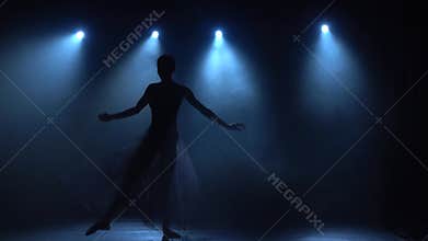 Delightful ballerina in tutu dancing classical ballet elements. Slow motion.