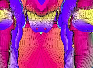 Abstract Colors, Lines, Shapes and Blurs