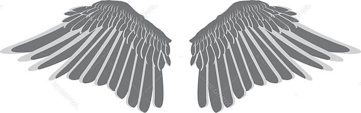Bird wings