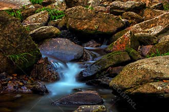 Tropical forest with stream waterfall