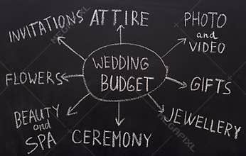 Wedding budget planning graph with all spendings