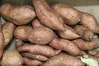 Sweet Potatoes at a Market