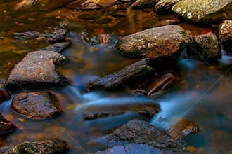 Smooth flowing of a stream in a tropical forest