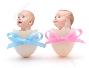 Babies in eggs