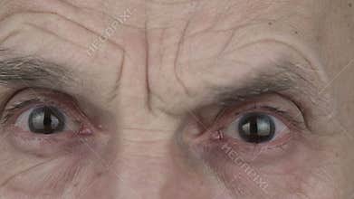 Elderly man wrinkled face with wise big grey eyes macro