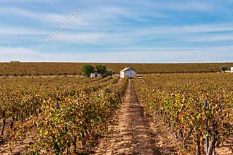 Tablas de Daimiel National Park, Castilla la Mancha, Spain