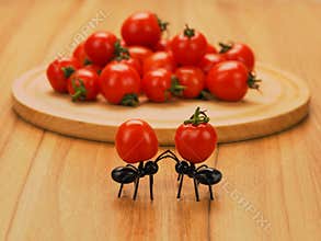 Two decorative funny ants on the table holding cocktail tomatoes