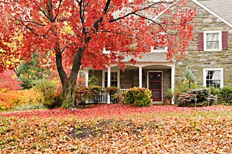 Family house with front lawn in fall colors