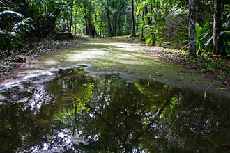 Archaeological Site: Yaxha, the third largest Mayan city in the Mesoamerican region
