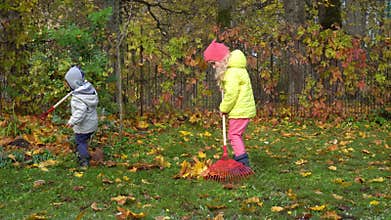 Two little kids raking leaves in house yard. Brother and sister helping parents