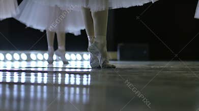 Ballet. girls women perform ballet dance with flowering on stage. Choreographic dance of graceful highly professional