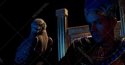 Egyptian pharaoh is sitting on his throne with a wild bird, hawk, close up, 4k