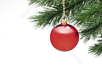 Christmas Tree Ornament White Background