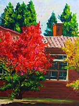 Oil Painting - Maple in Autumn