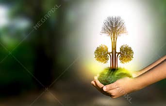 The tree kidney is a 3D illustration of the medical environmental concept