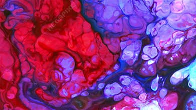 Slow Motion Macro Abstract Pattern Artistic Concept Color Surface Moving Surface Liquid Paint Splashing Art Design Texture