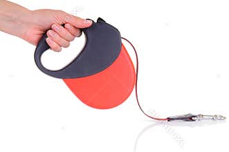 Red tape for dogs