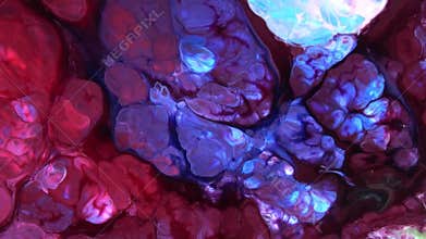 Slow Motion Macro Abstract Pattern Artistic Concept Color Surface Moving Surface Liquid Paint Splashing Art Design Texture