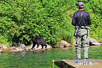 Alaska Man Fishing and Watching Bear from Boat