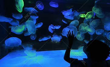 Child and jellyfish