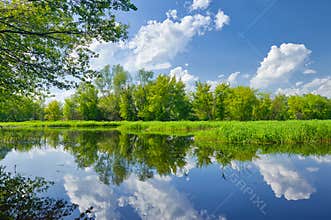 Summer landscape river clouds blue sky green trees pond