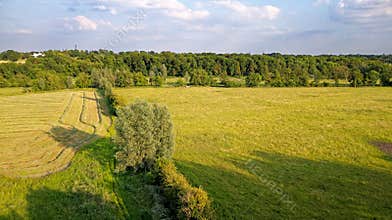 English landscape near Theale - West Berkshire UK