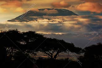 Mount Kilimanjaro. Savanna in Amboseli, Kenya