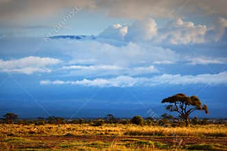 Mount Kilimanjaro. Savanna in Amboseli, Kenya