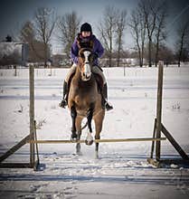 Young lady jumping her horse in winter