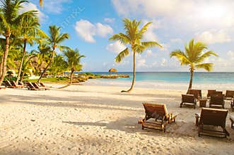 Sunset Dream beach with palm tree over the sand. Tropical Paradise. Dominican Republic, Seychelles, Caribbean, Mauritius. Vintage