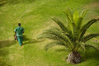 Man working in garden