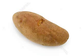 Potato