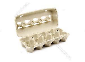 Empty egg carton