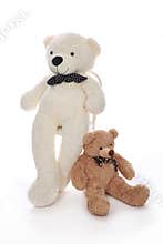 Two teddy-bear friends , bigger and smaller
