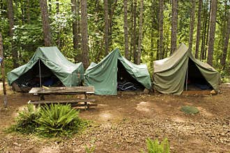 Tents At Boy Scout Camp
