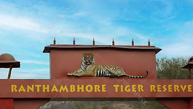 At Ranthambore National Park, every tiger has a distinct personality. Rajasthan