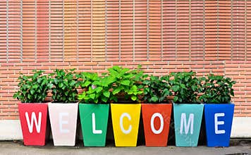 Colorful of the Welcome