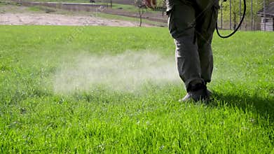 Farmer spraying pesticide on lawn field wearing protective clothing. Treatment of grass from weeds and dandelion. Pest control.