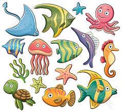 Sea Animals